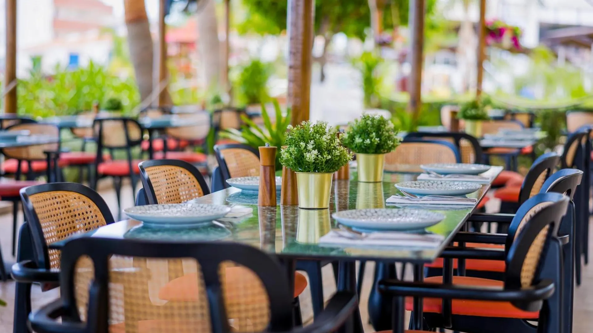 Cavo Maris Beach Hotel Protaras